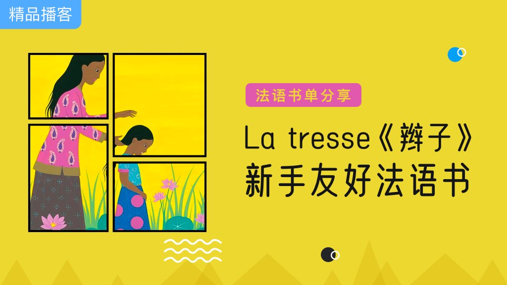 La tresse 辫子，新手友好法语书👍